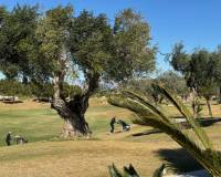 Nieuwbouw - villa - Los Montesinos