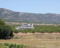 Nieuwbouw - villa - Pinoso - Camino Del Prado