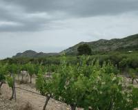 Nieuwbouw - villa - Yecla