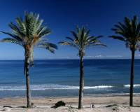 Nouvelle construction - Bungalow - Pilar de la Horadada - Parque Ramon eugenio Escudero