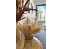 Nouvelle construction - Bungalow - San Fulgencio - Pueblo