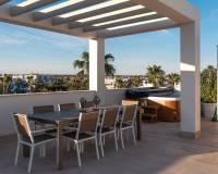 Nouvelle construction - Penthouse - Guardamar del Segura - El Raso