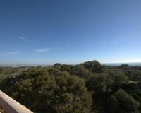 Nouvelle construction - Penthouse - Guardamar del Segura - Pueblo