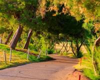 Nouvelle construction - villa - Pilar de la Horadada - Lo Romero Golf