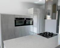 Nouvelle construction - villa - Pinoso - Camino Del Prado