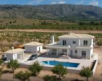 Nouvelle construction - villa - Pinoso - Camino Del Prado