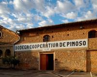 Nouvelle construction - villa - Pinoso - Campo