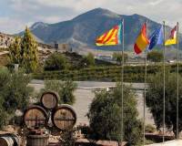 Nouvelle construction - villa - Pinoso - Campo