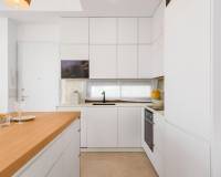 Nouvelle construction - villa - Vera - Vera Playa