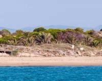 Nueva construcción  - Atico - Guardamar del Segura - Pueblo