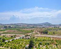 Nueva construcción  - Atico - Jacarilla - Comunidad Valenciana