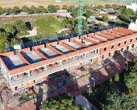 Nueva construcción  - Casa de pueblo - Pilar de la Horadada - pueblo