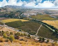 Nueva construcción  - villa - Calasparra - Coto Riñales