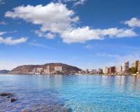 Nueva construcción  - villa - Els Poblets - Marina Alta