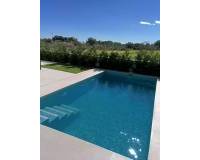 Nueva construcción  - villa - Pilar de la Horadada - Roda Golf