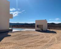 Nueva construcción  - villa - Pinoso - Camino Del Prado