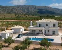 Nueva construcción  - villa - Pinoso - Camino Del Prado