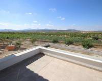 Nueva construcción  - villa - Pinoso - Camino Del Prado