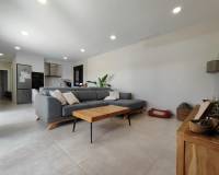 Nueva construcción  - villa - Pinoso - Campo