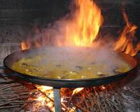 Nueva construcción  - villa - Pinoso - Campo