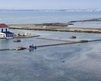 Nueva construcción  - villa - San Pedro del Pinatar - El Salero