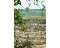 Nueva construcción  - villa - Yecla