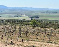 Nueva construcción  - villa - Yecla