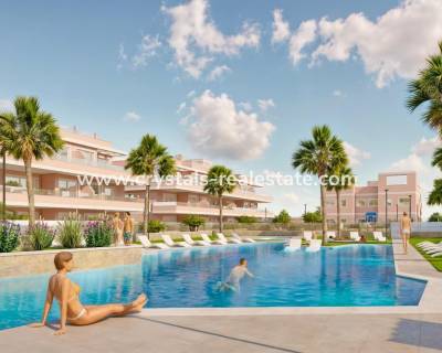 Penthouse - Nouvelle construction - Pilar de la Horadada - CPN-30382