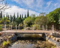 Resale - Finca / Country Property - Catral