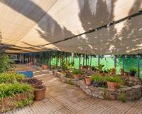 Resale - Finca / Country Property - Catral