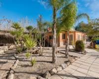 Resale - Finca / Country Property - Catral