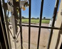 Resale - Finca / Country Property - Guardamar del Segura