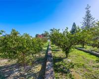 Resale - Finca / Country Property - Los Montesinos