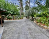 Resale - Finca / Country Property - Orihuela