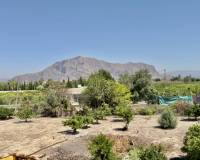 Resale - Finca / Country Property - Orihuela