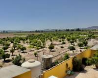 Resale - Finca / Country Property - Orihuela