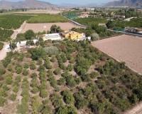 Resale - Finca / Country Property - Orihuela
