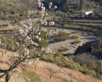 Resale - Plot - Murcia