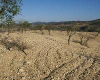 Resale - Plot - Murcia