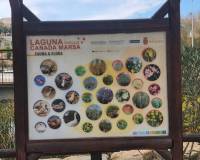 Resale - Town house - Benijofar - Costa Blanca