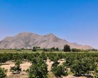 Resale - Townhouse - Almoradí - Costa Blanca