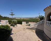 Resale - villa - Algorfa - Lomas De La Juliana