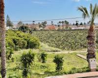 Revente - Appartement - Ciudad Quesada - Ciudad Quesada - Doña Pepa