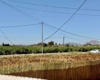 Revente - Finca / Country Property - Dolores - Comunidad Valenciana