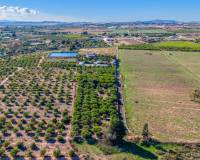 Revente - Finca / Country Property - Los Montesinos