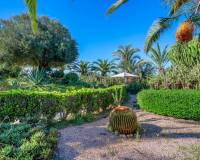 Revente - Finca / Country Property - Los Montesinos