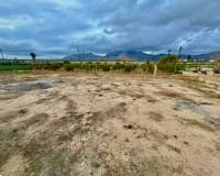 Revente - Finca / Country Property - Orihuela