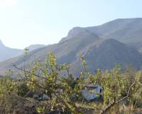 Revente - Plot - Murcia