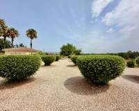 Revente - villa - Catral