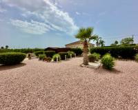 Revente - villa - Catral